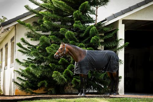 Show full view: Amigo 100g Quarter Horse Stable Blanket, Black, Silver, 68-in slide 6 of 6