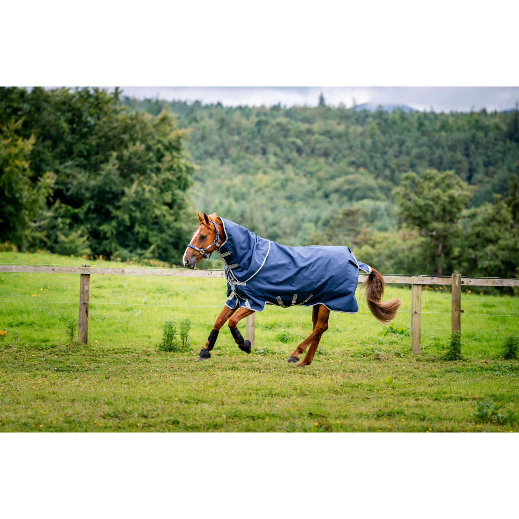 Horseware Amigo 1200D Plus 400g Horse Turnout, Navy, Titanium Grey, Silver, 84-in