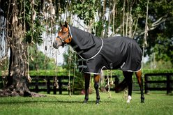 Amigo Ripstop 900D Plus 0g Quarter Horse Turnout, Black, Silver, 68-in