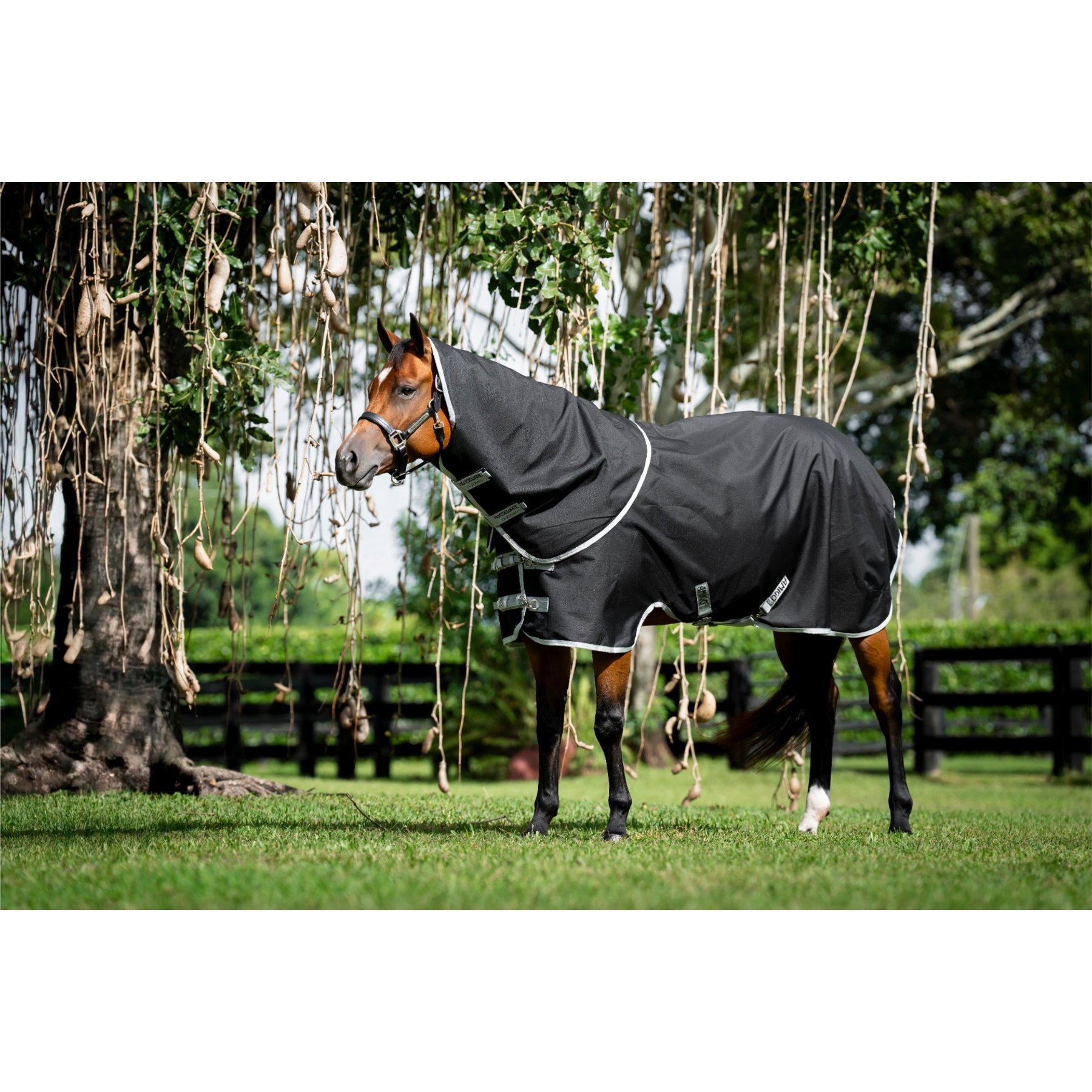 Horseware Amigo Ripstop 900D Plus 0g Quarter Horse Turnout, Black, Silver, 68-in