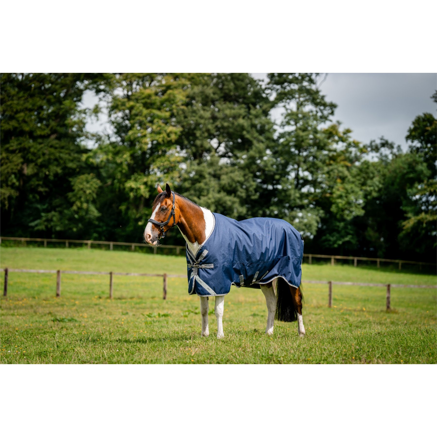 Horseware Amigo 1200D 100g Horse Turnout, Navy, Titanium Grey, Silver, 69-in