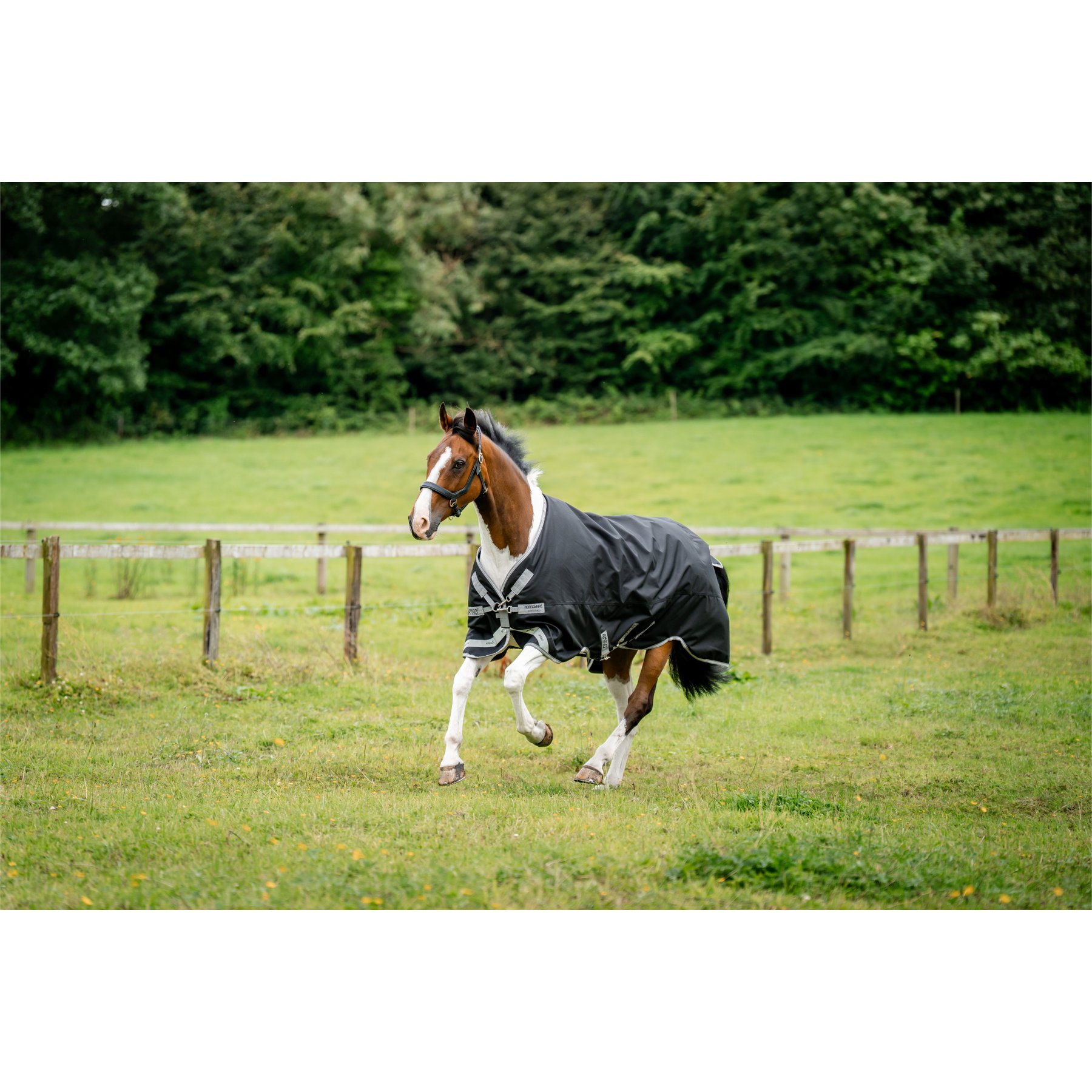 Horseware Amigo 1200D 100g Horse Turnout, Black, Titanium Grey, Silver, 66-in