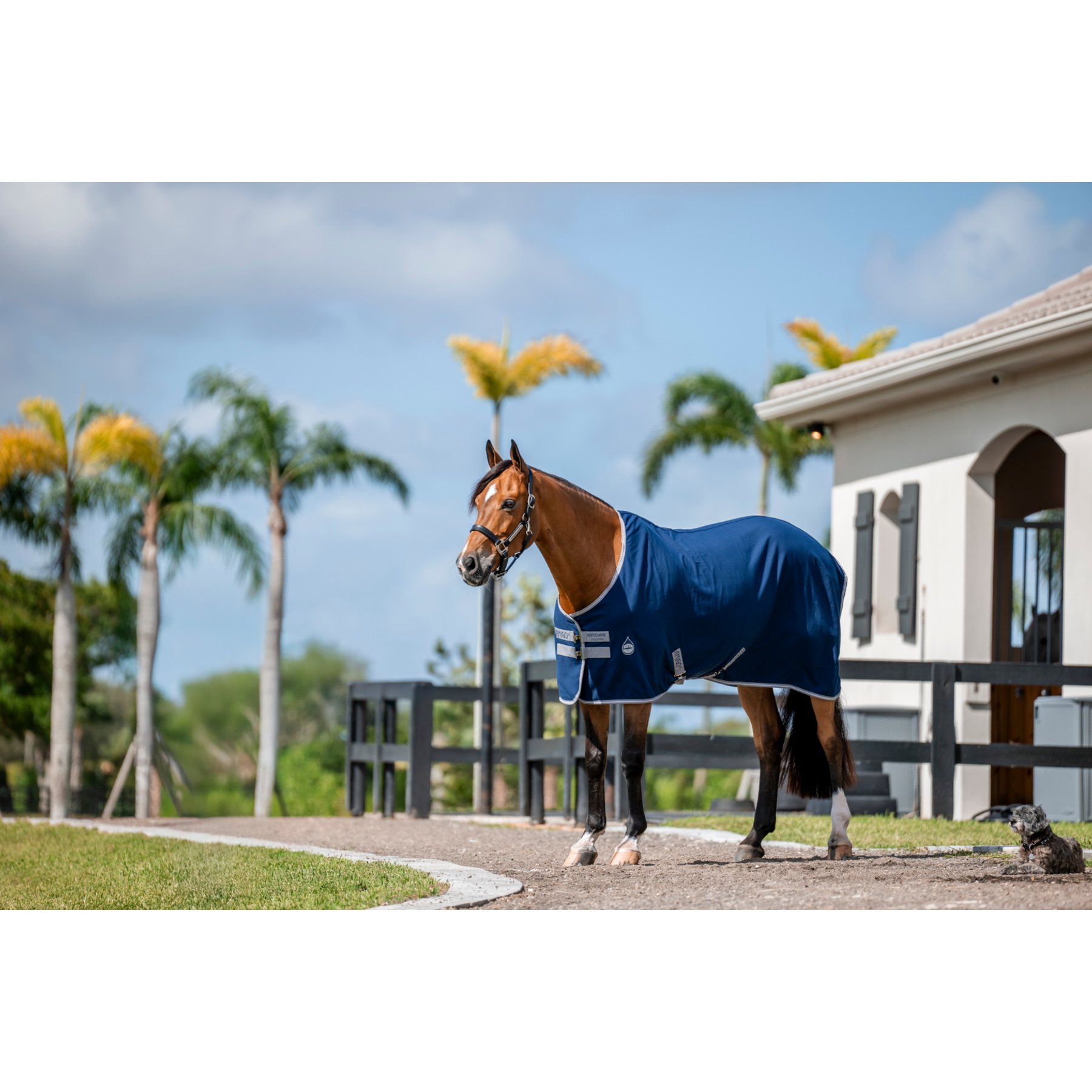 Horseware Amigo Horse Stable Sheet, Navy, Titanium Grey, Silver, 69-in