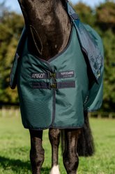 Amigo Ripstop 900D Plus 0g Horse Turnout, Dynasty Green, Navy, Silver, 78-in slide 2 of 8