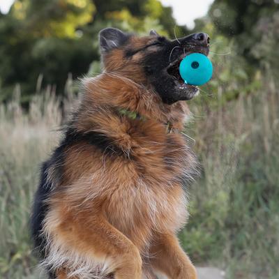 Show full view: Chew King by Mammoth Peanut Butter Flavor Rubber Ball Tough Dog Chew Toy, Blue, 3-in, 2 count slide 4 of 5