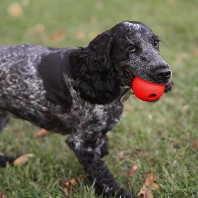 Show full view: Chew King by Mammoth Beef Flavor Rubber Ball Tough Dog Chew Toy, Red, 2.5-in, 3 count slide 5 of 5