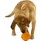 Show in main carousel: Chew King by Mammoth Bacon Flavor Rubber Ball Tough Dog Chew Toy, Orange, 2 count, 4-in slide 6 of 8