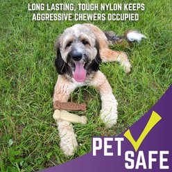 Chew King by Mammoth Nylon Bone Tough Dog Chew Toy, 2 count slide 2 of 8