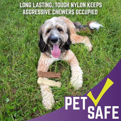 Show full view: Chew King by Mammoth Nylon Bone Tough Dog Chew Toy, 2 count slide 8 of 9