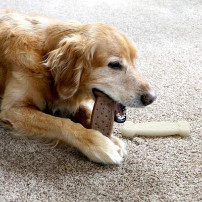 Show full view: Chew King by Mammoth Nylon Bone Tough Dog Chew Toy, 2 count slide 5 of 9