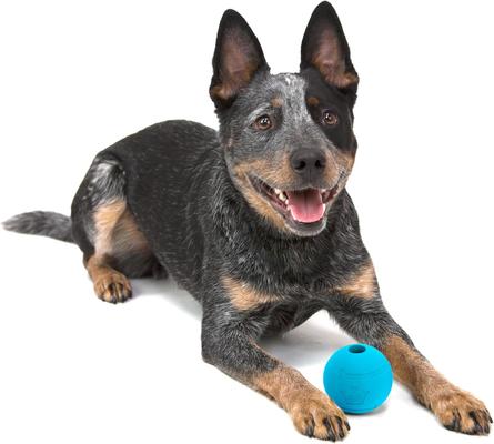 Show full view: Chew King by Mammoth Glowing Fetch Tough Chew Combo Ball Dog Toy, White, Green & Blue, 3-in slide 3 of 10