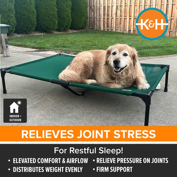 K&H Pet Products All Weather Outdoor Elevated Cot Dog Bed