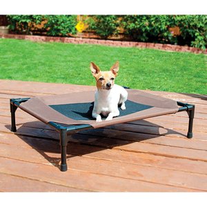K&H Pet Products Original Steel Frame Cot Outdoor Elevated Dog Bed, Chocolate, Medium