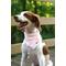 Show in main carousel: Dog Bandana Co. Mummy & Ghost Dog Bandana, Orange, Large slide 2 of 5