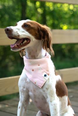 Show full view: Dog Bandana Co. Mummy & Ghost Dog Bandana, Orange, Large slide 2 of 5