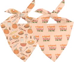 Dog Bandana Co. Everyone Is Thankful Dog Bandana, Orange, Small