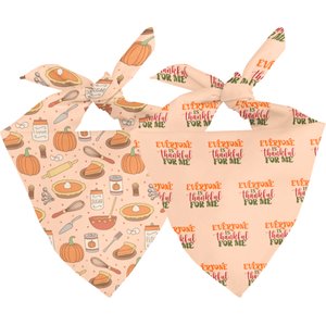 Dog Bandana Co. Everyone Is Thankful Dog Bandana, Orange, Large