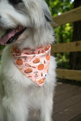 Show full view: Dog Bandana Co. Everyone Is Thankful Dog Bandana, Orange, Large slide 3 of 6