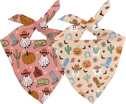 Dog Bandana Co. It's Fall Y'all Dog Bandana, Pink, Large