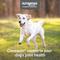 Show in main carousel: Nutramax Cosequin Joint Health Supplement with Glucosamine, Chondroitin, MSM & HA Chewable Tablet for Dogs, 150-count slide 3 of 11