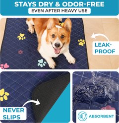 LuftPets Super Absorbent Washable Dog Training Pads, 2 count, 18 x 24-in slide 2 of 9