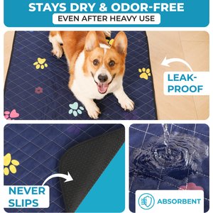 LuftPets Super Absorbent Unscented Washable Dog Training Pee Pads, 2 count, 18 x 24-in