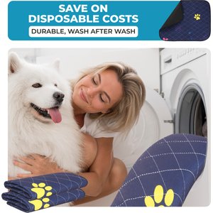 LuftPets Super Absorbent Unscented Washable Dog Training Pee Pads, 2 count, 18 x 24-in