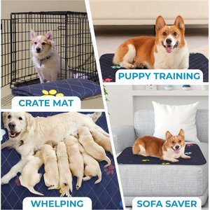 LuftPets Super Absorbent Unscented Washable Dog Training Pee Pads, 2 count, 18 x 24-in