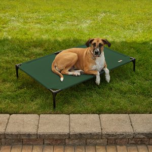 K&H Pet Products All Weather Outdoor Elevated Cot Dog Bed, Green, X-Large