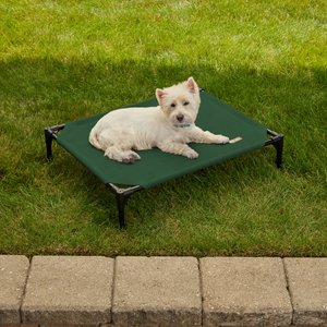 K&H Pet Products All Weather Outdoor Elevated Cot Dog Bed, Green, Medium