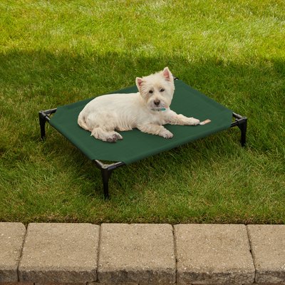 K&H Pet Products K&H Pet Products All Weather Outdoor Elevated Cot Dog Bed, Green, Medium