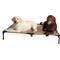 Show in main carousel: K&H Pet Products All Weather Outdoor Elevated Cot Dog Bed, Tan, Jumbo slide 3 of 13