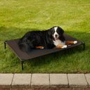 K&H Pet Products Original Steel Frame Cot Outdoor Elevated Dog Bed, Chocolate/Black, Jumbo