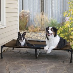 K&H Pet Products Original Steel Frame Cot Outdoor Elevated Dog Bed, Chocolate/Black, X-Large