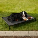 K&H Pet Products Original Steel Frame Cot Outdoor Elevated Dog Bed, Charcoal/Black, Jumbo