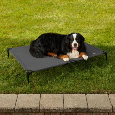 K&H Pet Products K&H Pet Products All Weather Outdoor Elevated Cot Dog Bed, Gray, Jumbo
