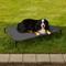 Show in main carousel: K&H Pet Products All Weather Outdoor Elevated Cot Dog Bed, Gray, Jumbo slide 1 of 12