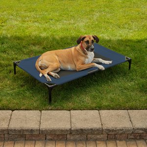 K&H Pet Products Original Steel Frame Cot Outdoor Elevated Dog Bed, Blue/Black, X-Large