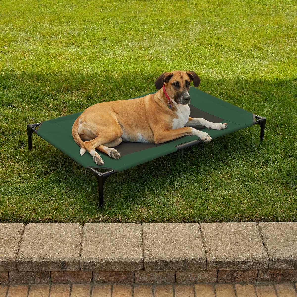 K&H Pet Products Original Steel Frame Cot Outdoor Elevated Dog Bed, Green/Black, X-Large