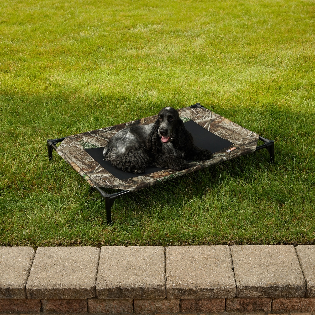 K&H PET PRODUCTS Original Steel Frame Cot Outdoor Elevated Dog Bed