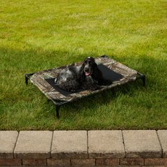 How to Puppy-Proof Your House PetMD