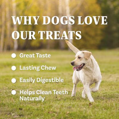 Show full view: AFreschi Variety Pack Natural Turkey Tendon Dog Chew Treats, Large: 10-oz bag slide 4 of 6