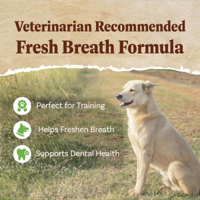 Show full view: AFreschi Natural Real Turkey Meat Adult Dental Dog Treats, 2.2-lb bag slide 7 of 7