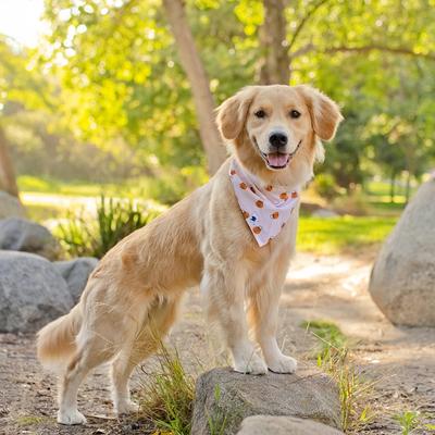 Show full view: Dog Bandana Co. Pumpkin Dog Bandana, Orange, Small slide 2 of 5