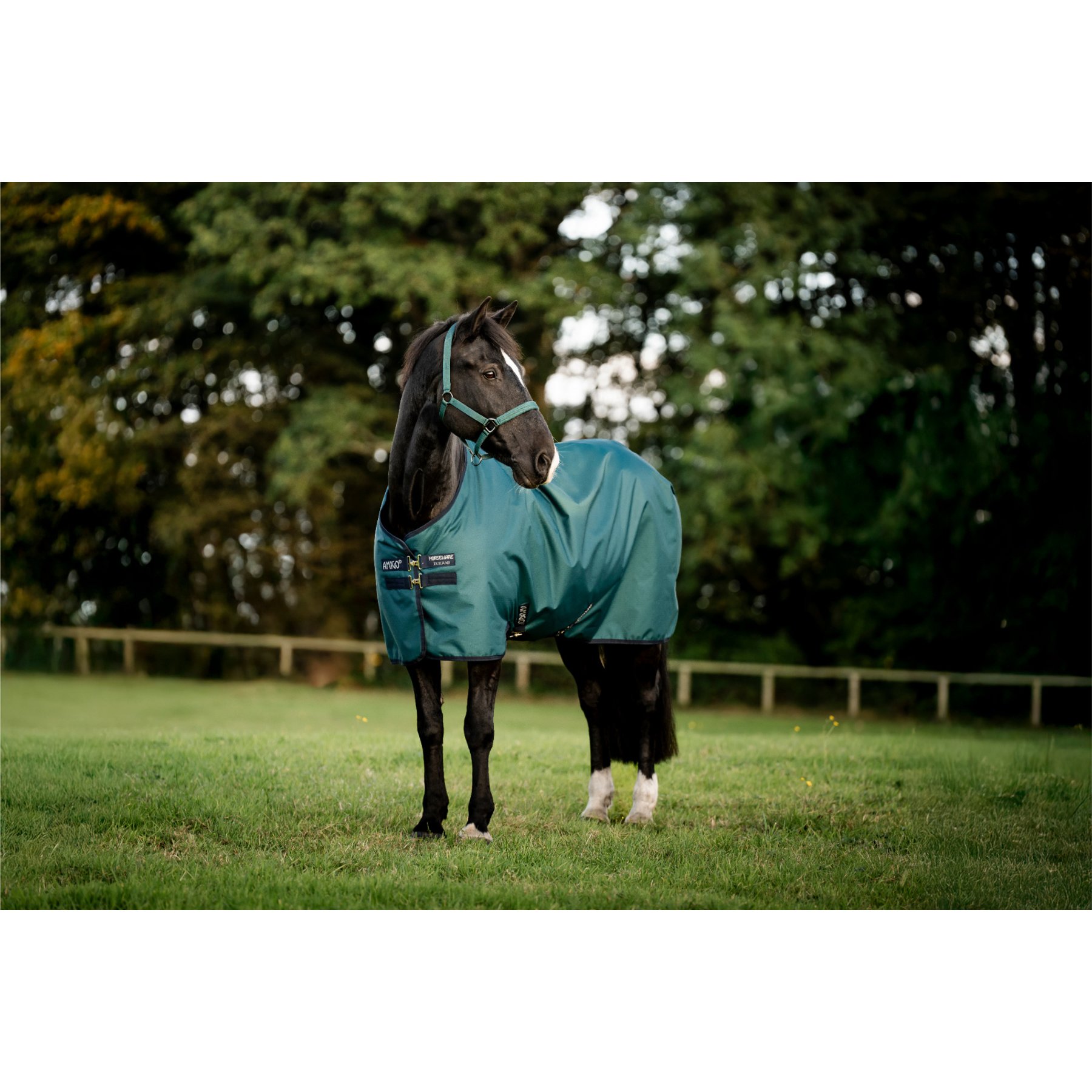 Horseware Amigo Ripstop 900D 200g HorseTurnout, Dynasty Green, Navy, Silver, 84-in