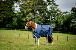 Amigo 1200D 250g X-Large Horse Turnout, Navy, Titanium Grey, Silver, 69-in