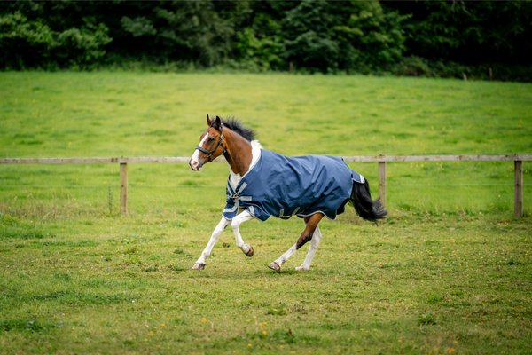 Show full view: Amigo 1200D 250g X-Large Horse Turnout, Navy, Titanium Grey, Silver, 69-in slide 6 of 6