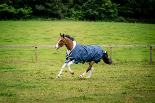 Show full view: Amigo 1200D 250g X-Large Horse Turnout, Navy, Titanium Grey, Silver, 72-in slide 6 of 6
