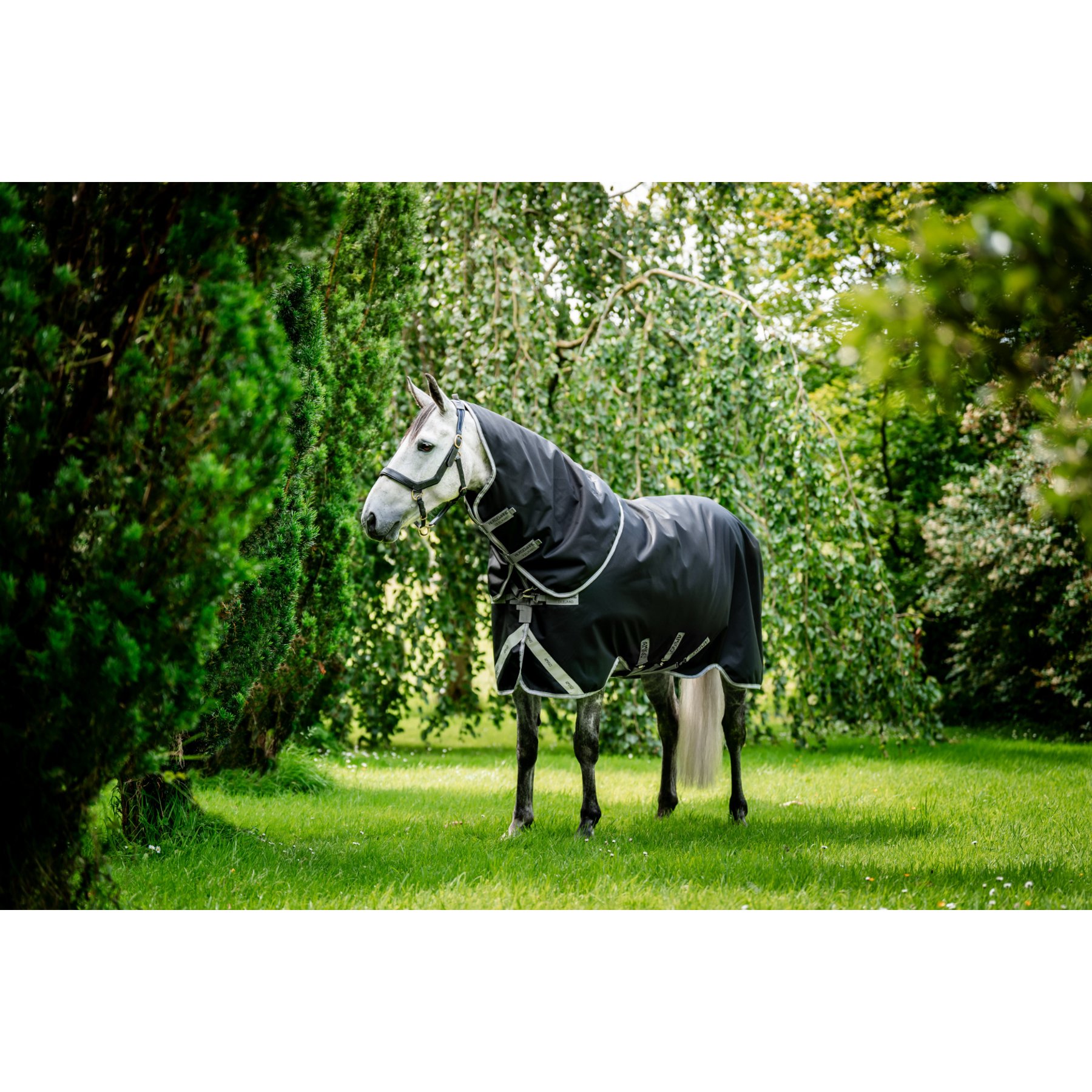 Horseware Amigo 1200D Plus 400g Horse Turnout, Black, Titanium Grey, Silver, 75-in