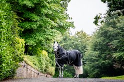 Amigo 1200D Plus 100g Horse Turnout, Black, Titanium Grey, Silver, 87-in